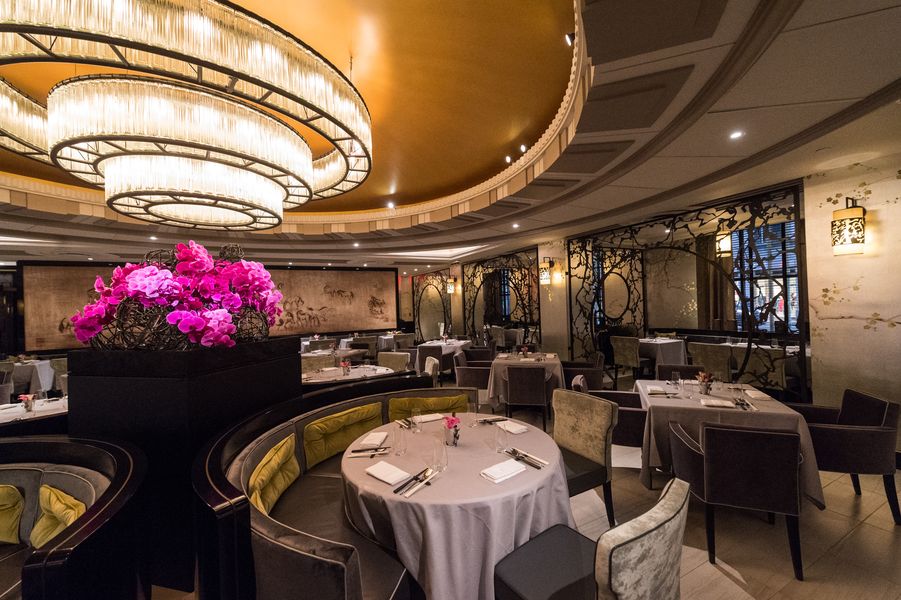 22197162594_eb1be365c2_o-0