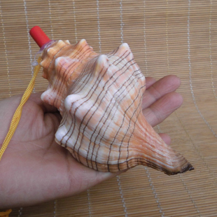 tb19_uampxxxxxgxfxxxxxxxxxx_0-item_pic-jpg_310x310